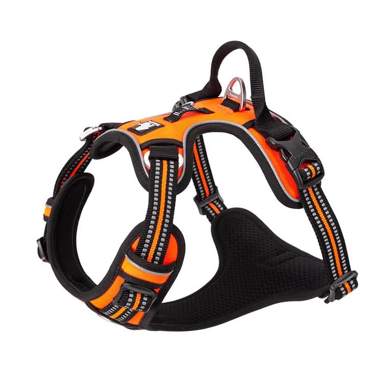 Dog Harness - Orange, XL