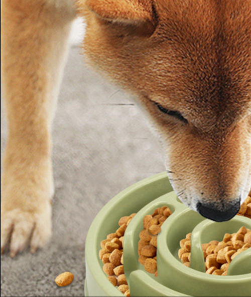 Likepets Dog Bowl Healthy Eating Puzzle