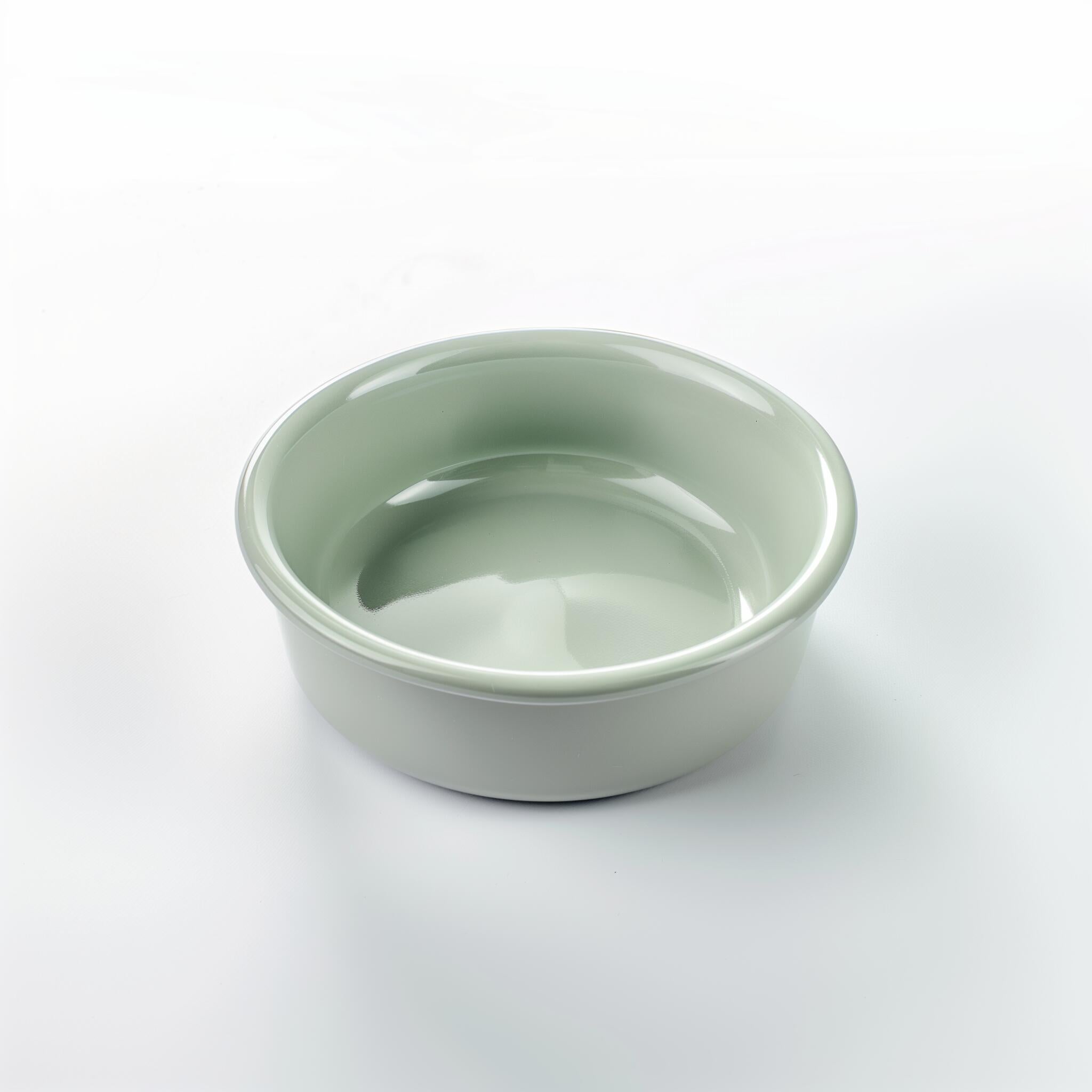 Eco-Friendly Bowl, Non-Skid Anti-Spill for Food and Water