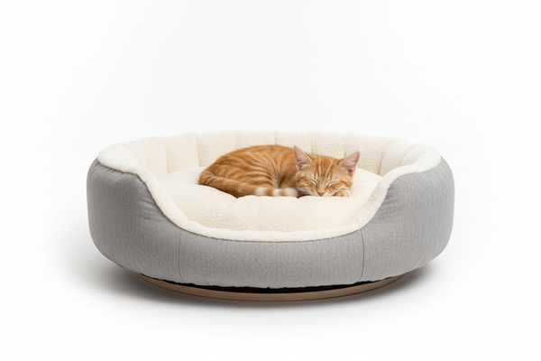 cat bed