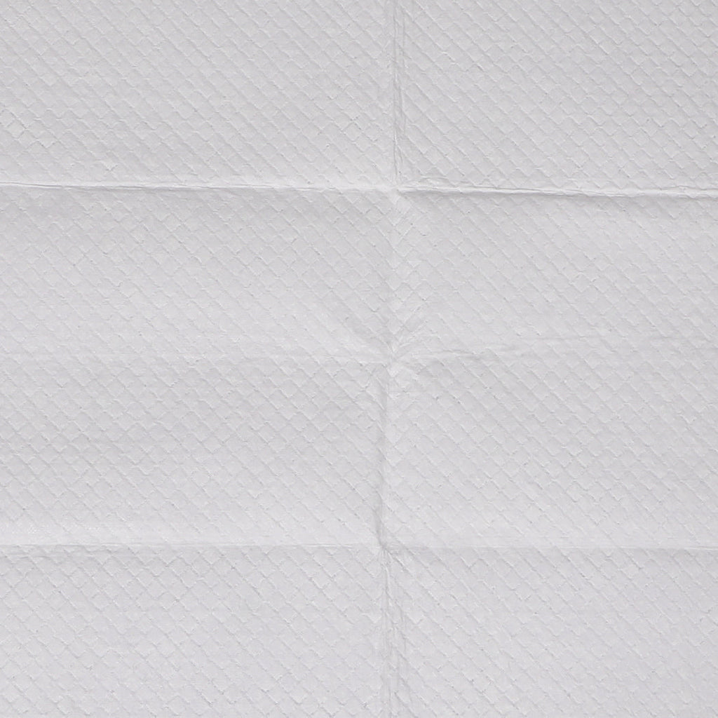 Pet Dog Toilet Training Pad