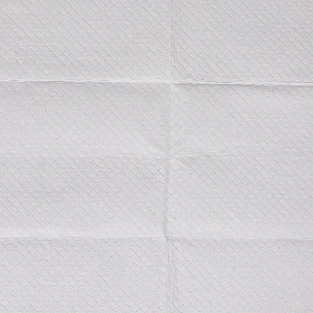 Pet Dog Toilet Training Pad